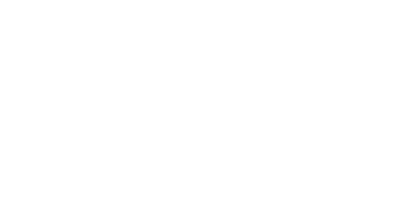 Rapid Flip Consulting